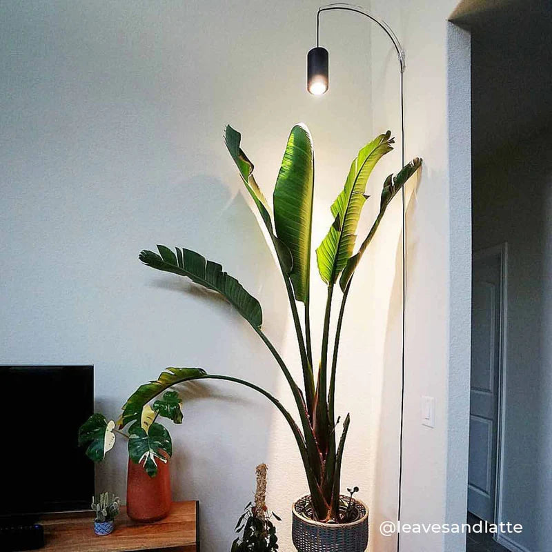 Soltech - Archetto - Transparent Wall Mount