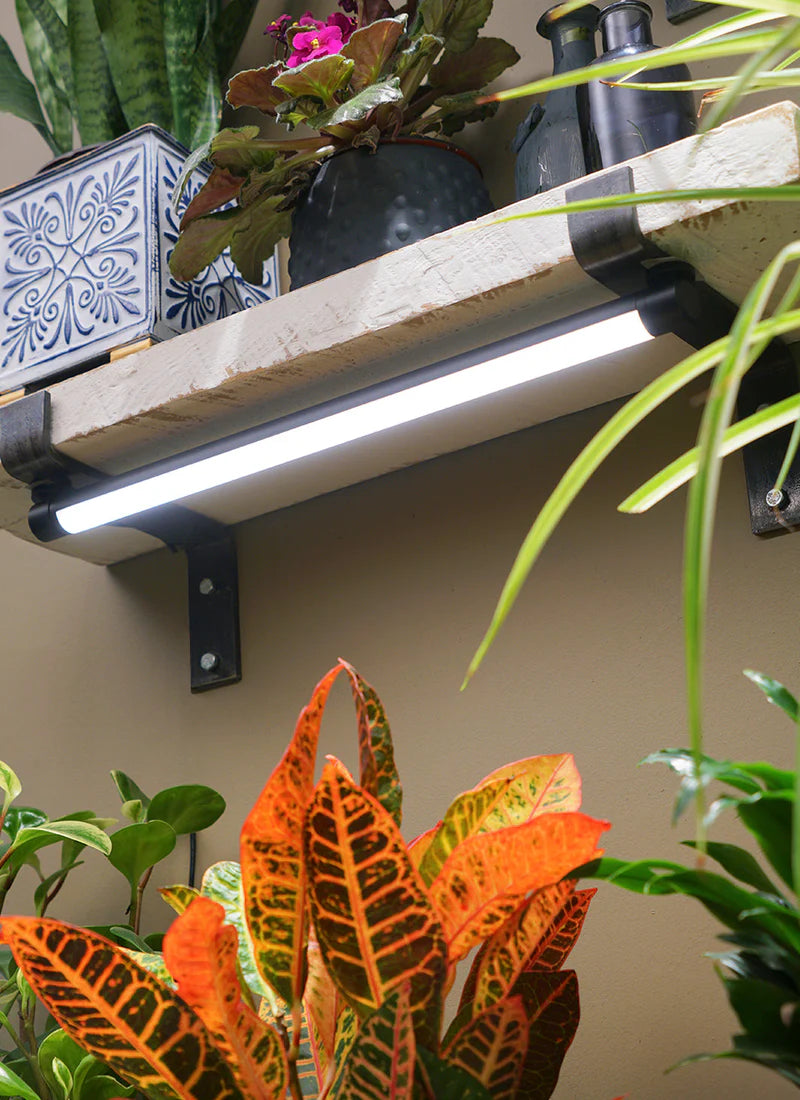 NEW! Soltech - Grove™ LED Grow Light