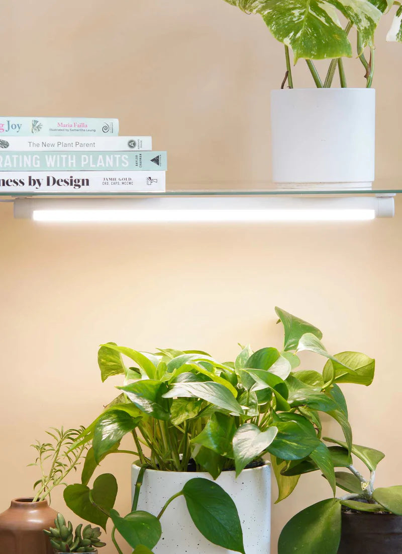 NEW! Soltech - Grove™ LED Grow Light