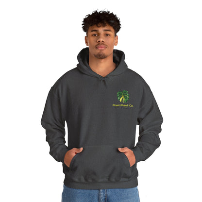 Monstera Aurea - Unisex Heavy Blend Hoodie