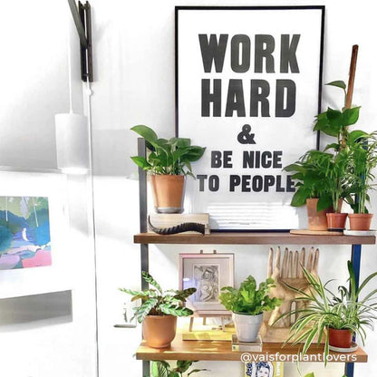 Soltech - Pinocchio - Adjustable Wall Mount